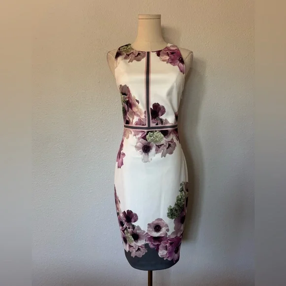 NWT Ted Baker Nanina Neapolitan Print Floral Sheath Dress size 4 - Picture 4 of 17